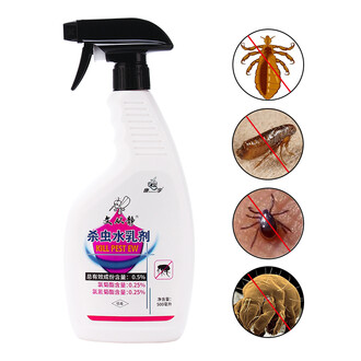 科学网—国际动态